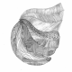 HFS天【身心】
